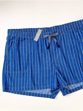 J. Crew 3X Indigo Stripe Blue Cotton Blend Nautical Fishermen Seaside Shorts NWT
